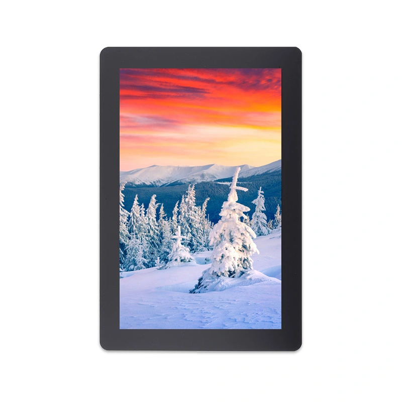 10,1 модуль LCD интерфейса IPS MIPI разрешения дюйма 800x1280