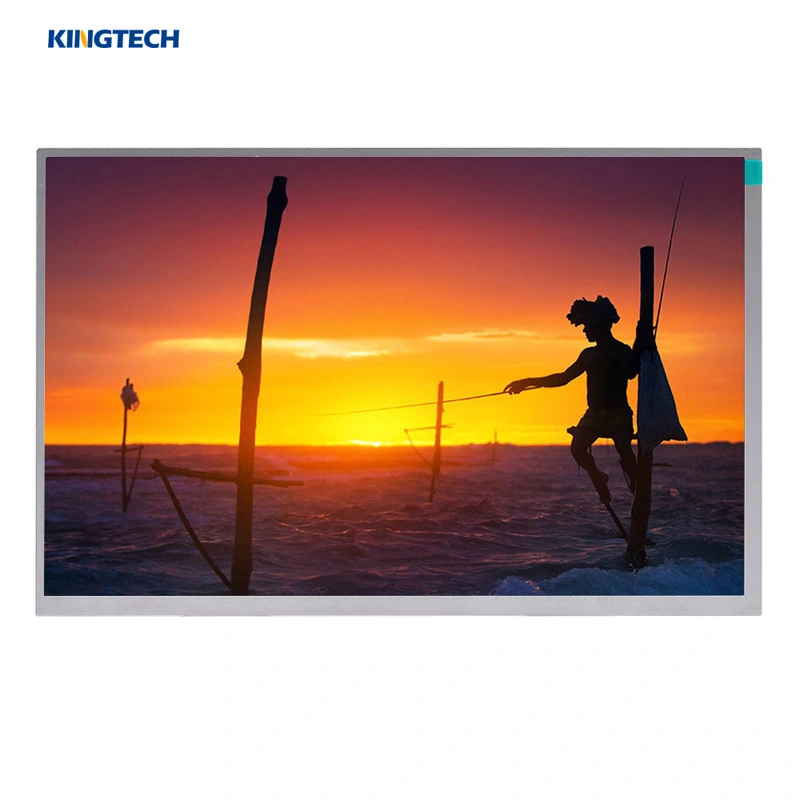 10,1 экран IPS TFT LCD интерфейса дюйма 1280x800 LVDS